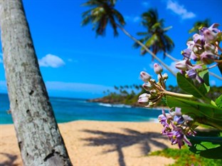 Agoda.com Sri Lanka Apartments & Hotels