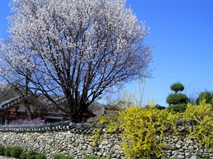 Agoda.com South Korea Apartments & Hotels