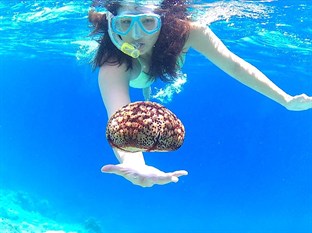 Agoda.com Maldives Apartments & Hotels