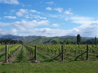 Agoda.com New Zealand Apartments & Hotels