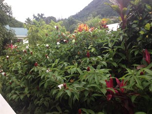 Agoda.com Seychelles Apartments & Hotels