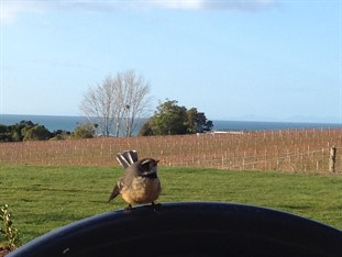 Agoda.com New Zealand Apartments & Hotels