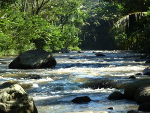 Agoda.com Indonesia Apartments & Hotels