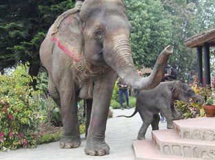 Agoda.com Nepal Apartments & Hotels