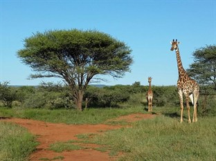 Agoda.com South Africa Apartments & Hotels