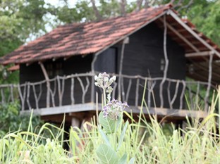 Agoda.com Sri Lanka Apartments & Hotels