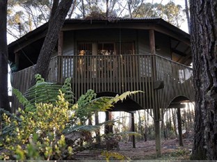 Agoda.com Australia Apartments & Hotels