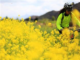 Agoda.com China Apartments & Hotels