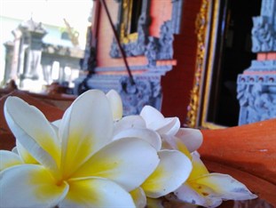 Agoda.com Indonesia Apartments & Hotels