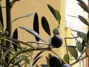 Agoda.com Morocco Apartments & Hotels