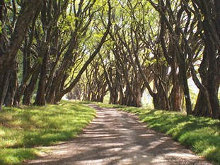 Agoda.com South Africa Apartments & Hotels