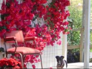 Agoda.com New Zealand Apartments & Hotels