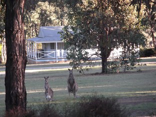 Agoda.com Australia Apartments & Hotels