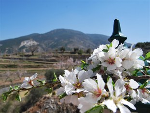 Agoda.com Spain Apartments & Hotels