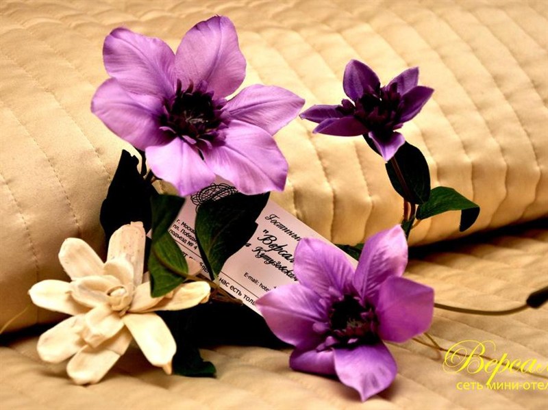 Agoda.com Russia Apartments & Hotels