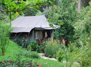 Agoda.com India Apartments & Hotels