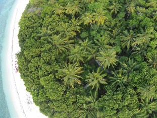 Agoda.com Maldives Apartments & Hotels