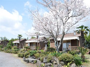 Agoda.com South Korea Apartments & Hotels