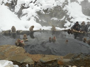 Agoda.com Japan Apartments & Hotels