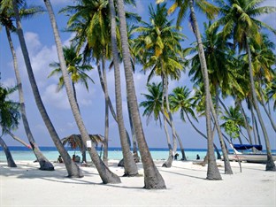 Agoda.com Maldives Apartments & Hotels