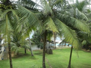 Agoda.com Sri Lanka Apartments & Hotels