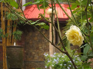 Agoda.com Sri Lanka Apartments & Hotels