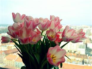 Agoda.com Czech Republic Apartments & Hotels in Europe