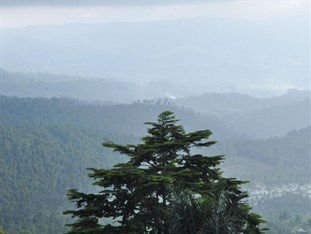 Agoda.com Indonesia Apartments & Hotels