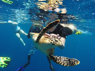 Agoda.com Maldives Apartments & Hotels