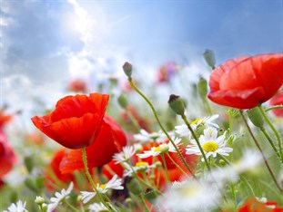 Agoda.com Hungary Apartments & Hotels