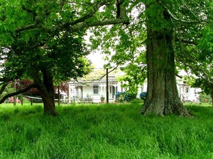 Agoda.com New Zealand Apartments & Hotels