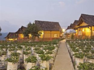 Agoda.com Indonesia Apartments & Hotels