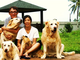 Agoda.com Taiwan Apartments & Hotels