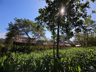 Agoda.com Vietnam Apartments & Hotels  