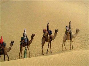 Agoda.com India Apartments & Hotels